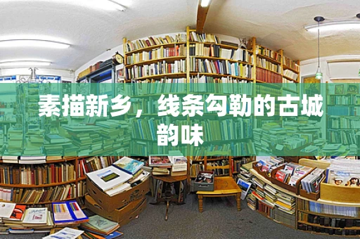 素描新乡，线条勾勒的古城韵味