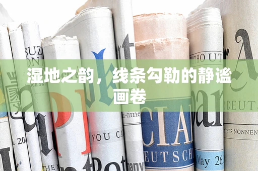 湿地之韵，线条勾勒的静谧画卷