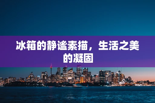 冰箱的静谧素描，生活之美的凝固