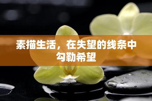 素描生活，在失望的线条中勾勒希望