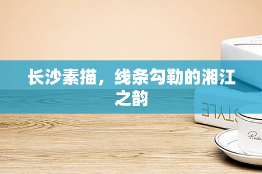 长沙素描，线条勾勒的湘江之韵
