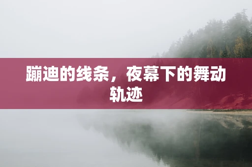 蹦迪的线条，夜幕下的舞动轨迹