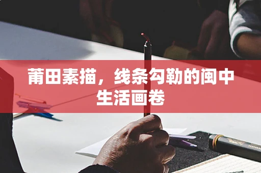 莆田素描，线条勾勒的闽中生活画卷