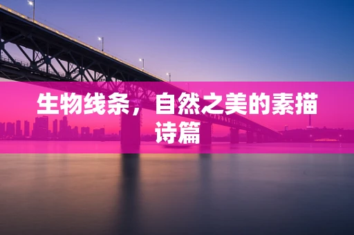 生物线条，自然之美的素描诗篇