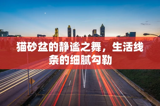 猫砂盆的静谧之舞，生活线条的细腻勾勒