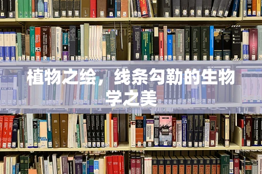 植物之绘，线条勾勒的生物学之美