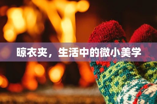 晾衣夹，生活中的微小美学