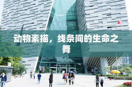 动物素描，线条间的生命之舞