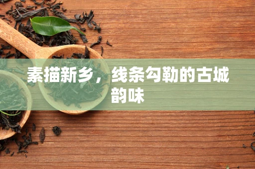 素描新乡，线条勾勒的古城韵味
