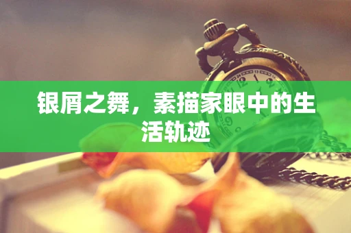 银屑之舞，素描家眼中的生活轨迹