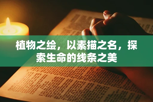 植物之绘，以素描之名，探索生命的线条之美