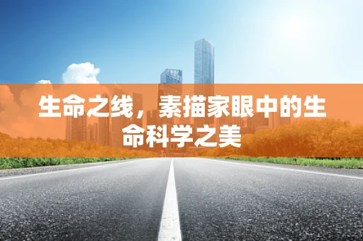 生命之线，素描家眼中的生命科学之美