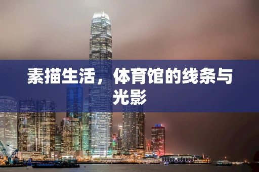 素描生活，体育馆的线条与光影