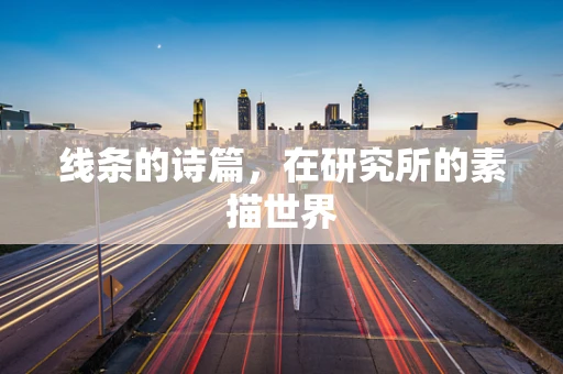 线条的诗篇，在研究所的素描世界