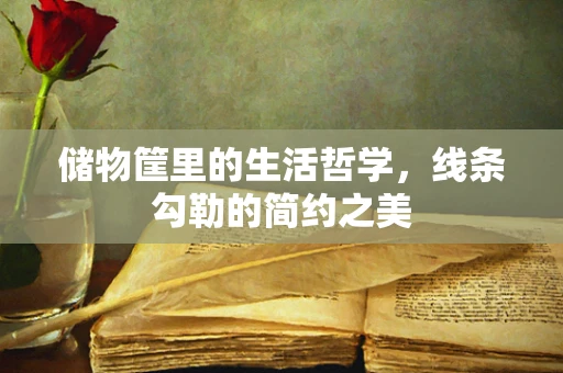 储物筐里的生活哲学，线条勾勒的简约之美