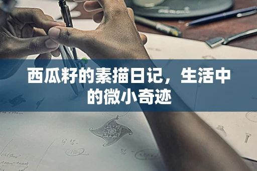 西瓜籽的素描日记，生活中的微小奇迹