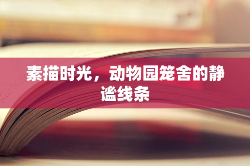 素描时光，动物园笼舍的静谧线条