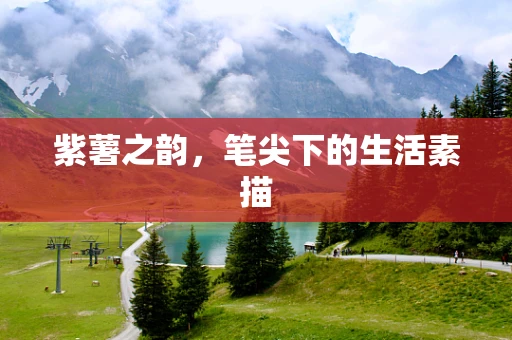 紫薯之韵，笔尖下的生活素描
