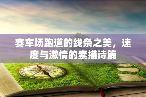 赛车场跑道的线条之美，速度与激情的素描诗篇