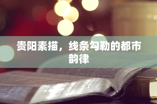 贵阳素描，线条勾勒的都市韵律