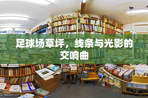 足球场草坪，线条与光影的交响曲