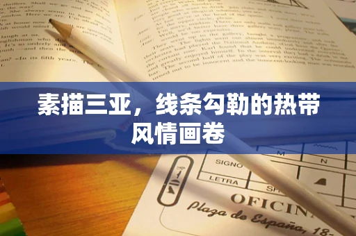 素描三亚，线条勾勒的热带风情画卷