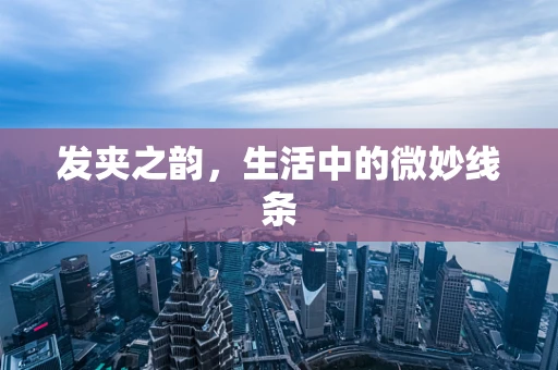 发夹之韵，生活中的微妙线条