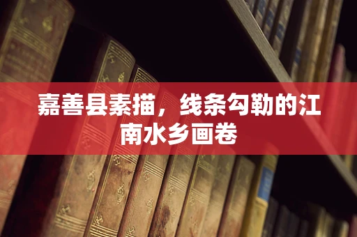 嘉善县素描，线条勾勒的江南水乡画卷