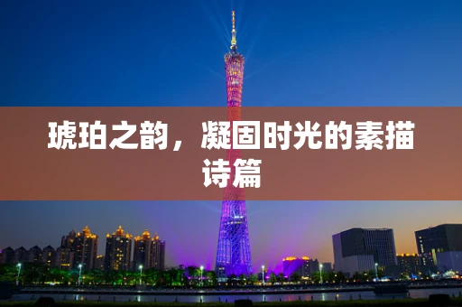 琥珀之韵，凝固时光的素描诗篇