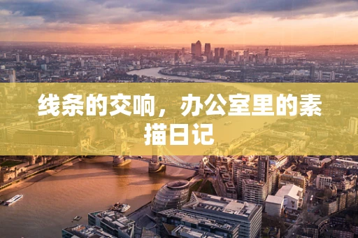 线条的交响，办公室里的素描日记