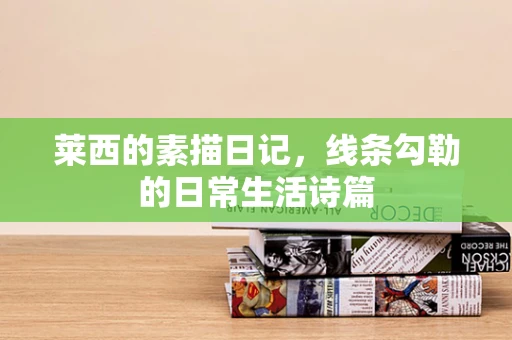 莱西的素描日记，线条勾勒的日常生活诗篇