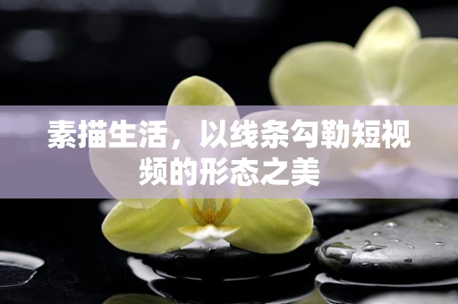 素描生活，以线条勾勒短视频的形态之美