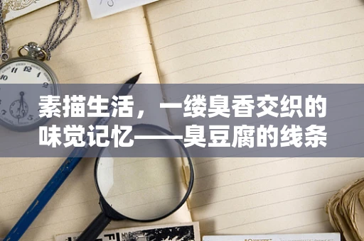 素描生活，一缕臭香交织的味觉记忆——臭豆腐的线条艺术