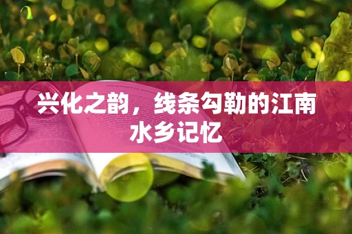 兴化之韵，线条勾勒的江南水乡记忆