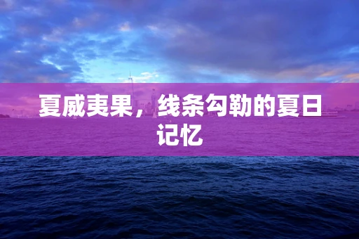 夏威夷果，线条勾勒的夏日记忆