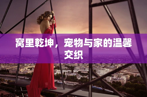 窝里乾坤，宠物与家的温馨交织