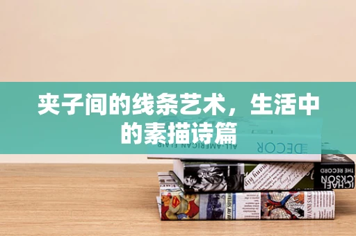 夹子间的线条艺术，生活中的素描诗篇