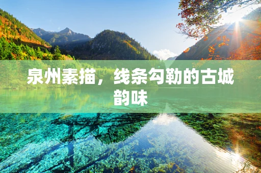 泉州素描，线条勾勒的古城韵味