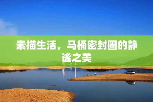 素描生活，马桶密封圈的静谧之美