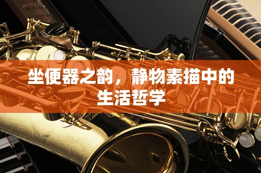 坐便器之韵，静物素描中的生活哲学