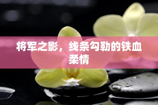将军之影，线条勾勒的铁血柔情