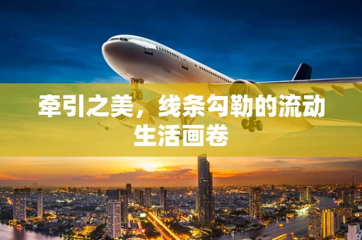 牵引之美，线条勾勒的流动生活画卷