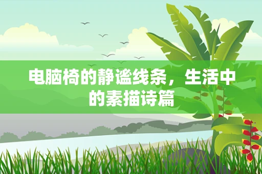 电脑椅的静谧线条，生活中的素描诗篇