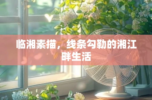 临湘素描，线条勾勒的湘江畔生活