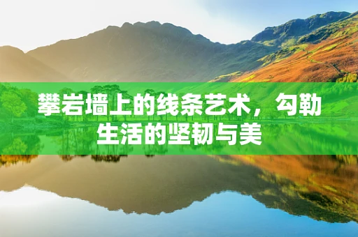 攀岩墙上的线条艺术，勾勒生活的坚韧与美