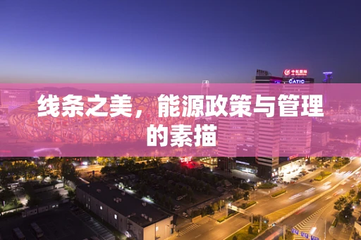 线条之美，能源政策与管理的素描