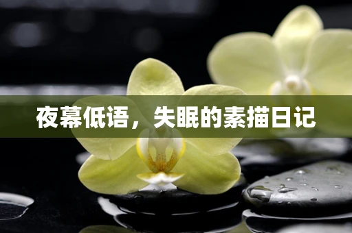 夜幕低语，失眠的素描日记