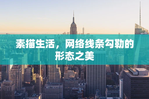 素描生活，网络线条勾勒的形态之美