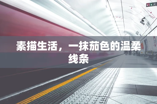 素描生活，一抹茄色的温柔线条