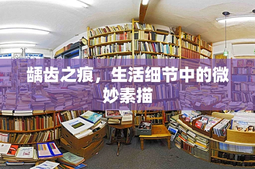 龋齿之痕，生活细节中的微妙素描